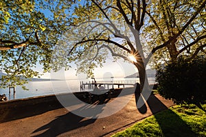 Natural Landscape Scenery View of Lake Geneva and Swiss Alps at Switzerland, Nature Scenic Horizontal Waterfront of Lake at Sunset