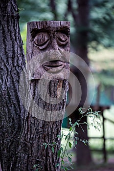 Natural landscape scenics around Nami Island in Seoul South Korea Asia