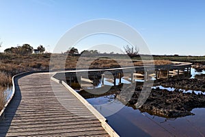 Natural landscape of a small wetland photo