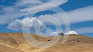 Natural landscape of Tejon ranch covered by dried grass with lonely tree in distance under blue sky photo