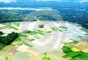 Natural landscape of a village in Bangladesh