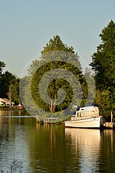 Motorboat River And Tree