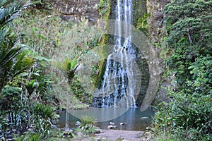 Natural landscape of Waitakere Ranges Regional Park