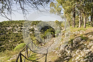 Natural Landscapes of Cava Carosello in Noto - Italy