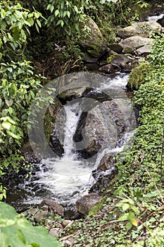 Natural Landscapes of Santa Rosa de Cabal in Risaralda photo