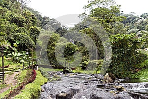 Natural Landscapes of Santa Rosa de Cabal in Risaralda photo