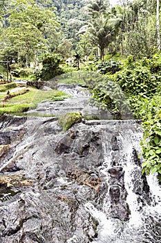 Natural Landscapes of Santa Rosa de Cabal in Risaralda photo