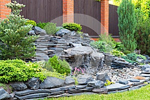 Natural landscaping in home garden