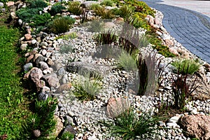 Natural landscaping in home garden