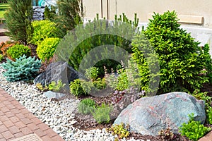 Natural landscaping in home garden