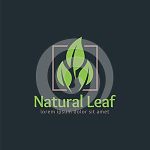 Natural Leaf, Leaf logo design template, easy to customize.