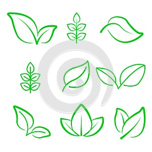 Natural leaf line icon. Young leaves of plants, forest tree oak, elm and ash leafs and eco green, garden vector isolated outline