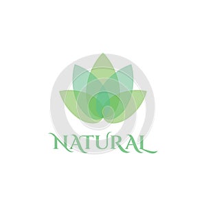 Natural Leaf logo design template spa & esthetics