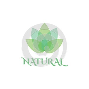 Natural Leaf logo design template spa & esthetics photo
