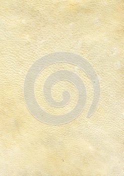 Natural leather texture 02