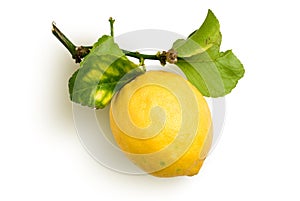 Naturale limone 