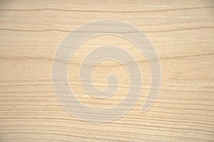 Natural light alder, wood texture on a cut closeup. Background. Close up shot photo