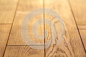 Natural light brown wooden parquet floor boards. Sunny soft yellow texture, copy space perspective background