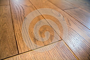 Natural light brown wooden parquet floor boards. Sunny soft yellow texture, copy space perspective background