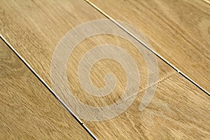 Natural light brown wooden parquet floor boards. Sunny soft yellow texture, copy space perspective background