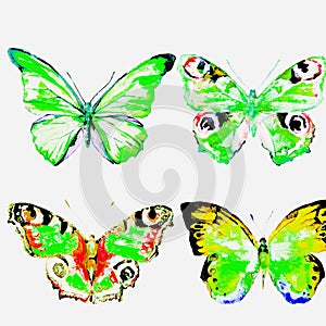 Natural light green beautiful butterfly flying open black wings spring watercolor abstract on white