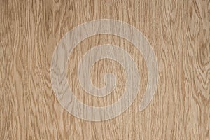 Natural light oak wood texture on furniture surface as background image. Copy, empty space for text