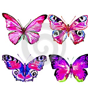 Natural light pink beautiful butterfly flying open black and purple wings spring watercolor abstract on white