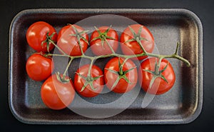 Natural-looking tomatoes on dark background.