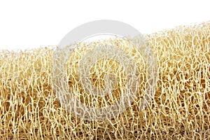 Natural Luffa sponge