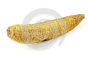 Natural Luffa sponge