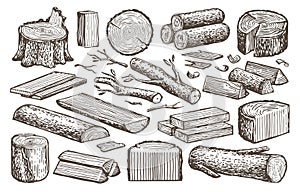 Natural lumber, timber, woodworking set. Carpentry materials, wood vector sketch