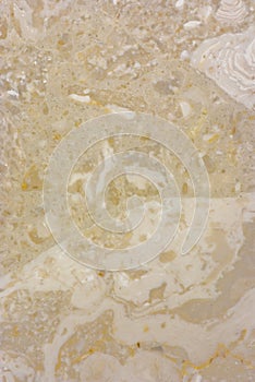 Natural Marble - Royal Perlato