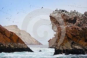 Natural marine reserve of ballestas isle in Peru