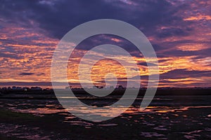 natural marshlands at sunset