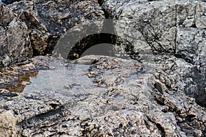 Natural mineral stone flint, sedimentary cryptocrystalline form of the mineral quartz photo
