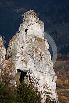 Natural monk statue