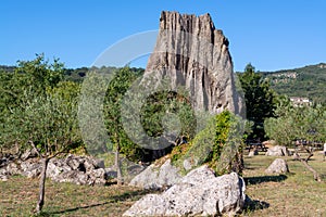 Naturale monumento un oliva alberi, 