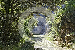 Ojo GuareÃÂ±a natural monument photo