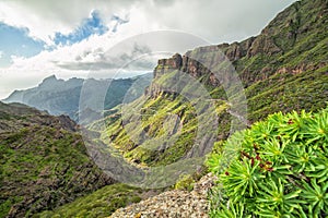 Natural mountain scenery - Tenerife