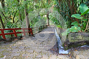 Natural national park barranca del cupatitzio, uruapan michoacan, mexico.