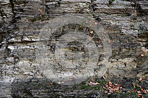 Natural natural graphic resource consists of weathered stone texture.