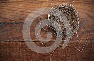 Natural Nest on Weathered Board