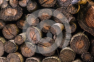 Natural old wood background - closeup of chopped firewood. firewood background