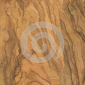 Natural olive rustic wood texture.