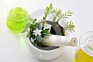 Natural organic botany and scientific glassware, Alternative herb medicine, Natural skin care beauty products.