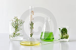 Natural organic botany and scientific glassware, Alternative herb medicine, Natural skin care beauty products photo