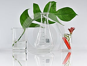 Natural organic botany and scientific glassware, Alternative herb medicine, Natural skin care beauty products