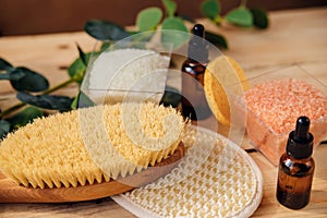 Natural, organic cosmetics with eucalyptus oil, sea salt, massage brush, eucalyptus leaf extract