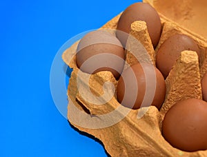 Natural organic eggs in cardboard package on blue background. Chicken egg in box