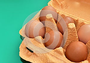 Natural organic eggs in cardboard package on green background. Chicken egg in box